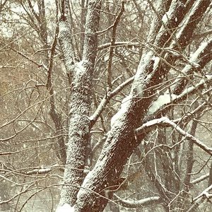 ❄️ Bundle up! ❄️